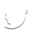 twitter-white@2x